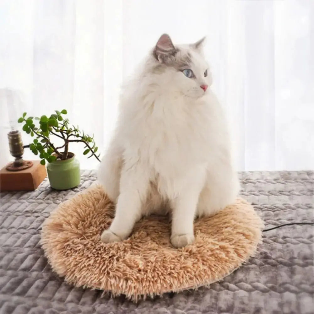Tapis chauffant animaux 3